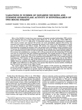 Variations in Number of Dopamine Neurons and Tyrosine Hydroxylase Activity in Hypothalamus of Two Mouse Strains