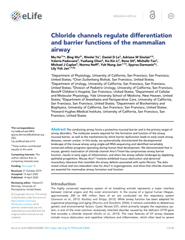 Chloride Channels Regulate Differentiation and Barrier Functions