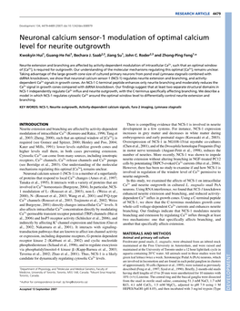 Neuronal Calcium Sensor-1 Modulation of Optimal Calcium Level for Neurite Outgrowth Kwokyin Hui1, Guang-He Fei1, Bechara J