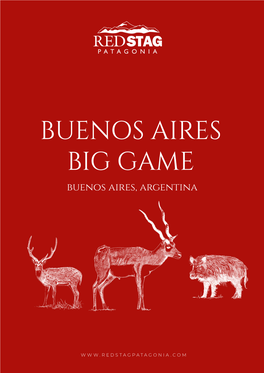 BUENOS AIRES BIG GAME Buenos Aires, Argentina