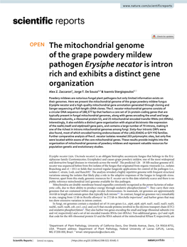 The Mitochondrial Genome of the Grape Powdery Mildew Pathogen Erysiphe Necator Is Intron Rich and Exhibits a Distinct Gene Organization Alex Z