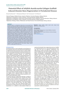 Potential Effect of Jellyfish Aurelia Aurita Collagen Scaffold Induced Alveolar Bone Regeneration in Periodontal Disease