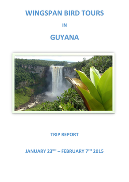 Wingspan Bird Tours Guyana