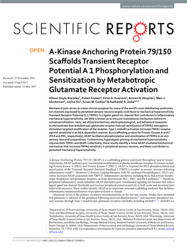 A-Kinase Anchoring Protein 79/150 Scaffolds Transient Receptor Potential a 1 Phosphorylation and Sensitization by Metabotropic G
