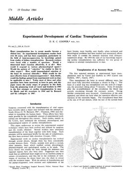 Middle Articles