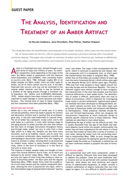 The Analysis, Identification and Treatment of an Amber Artifact