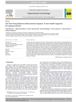 The Free-Living Flatworm Macrostomum Lignano