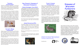 Diseases of Wisconsin Furbearers