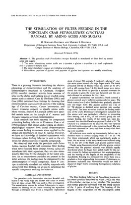 The Stimulation of Filter Feeding in the Porcelain Crab Petrolisthes Cinctipes Randall by Amino Acids and Sugars