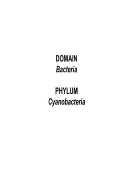 DOMAIN Bacteria PHYLUM Cyanobacteria