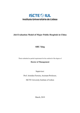 Job Evaluation Model of Major Public Hospitals in China