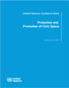 UN Guidance Note