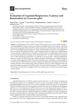 Evaluation of Cyprinid Herpesvirus 2 Latency and Reactivation in Carassius Gibel