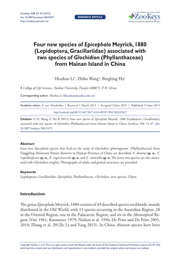 ﻿Four New Species of Epicephala Meyrick, 1880 (Lepidoptera