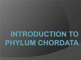 Introduction to Phylum Chordata