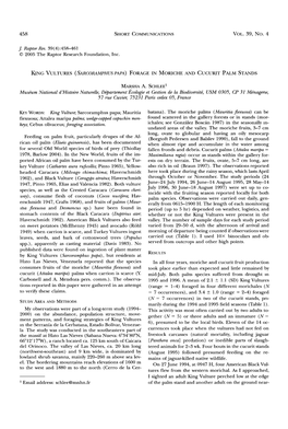 King Vultures &Lpar;<I>Sarcoramphus Papa</I>&Rpar; Forage in Moriche