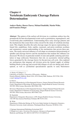Vertebrate Embryonic Cleavage Pattern Determination