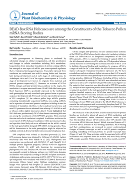 DEAD-Box RNA Helicases Are Among the Onstituents of the Tobacco