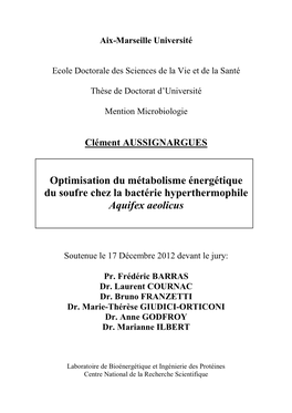 Optimisation Du Métabolisme Énergétique Du Soufre Chez La Bactérie Hyperthermophile Aquifex Aeolicus