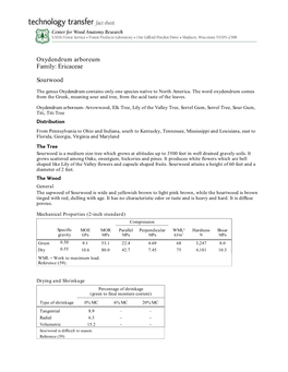 Oxydendrum Arboreum Family: Ericaceae Sourwood