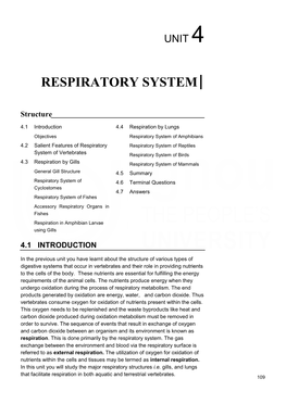 Unit 4 Respiratory System.Pdf