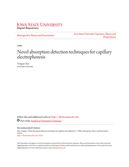 Novel Absorption Detection Techniques for Capillary Electrophoresis Yongjun Xue Iowa State University