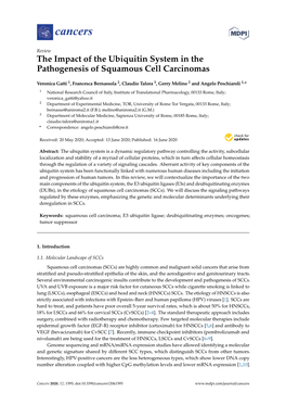 The Impact of the Ubiquitin System in the Pathogenesis of Squamous Cell Carcinomas