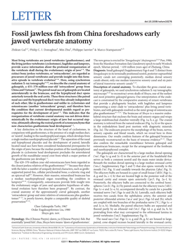 Fossil Jawless Fish from China Foreshadows Early Jawed Vertebrate Anatomy