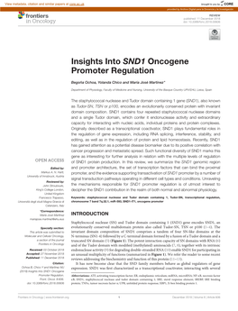 Insights Into SND1 Oncogene Promoter Regulation