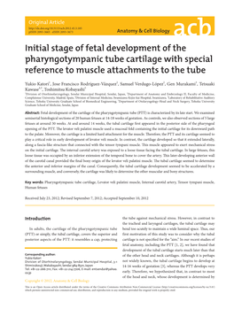 Initial Stage of Fetal Development of the Pharyngotympanic Tube Cartilage with Special Reference to Muscle Attachments to the Tube