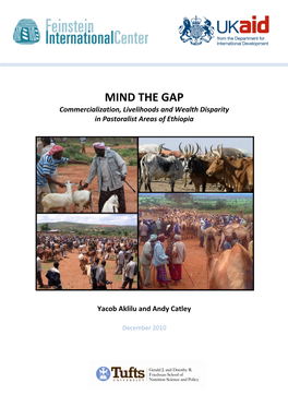 MIND the GAP Commercialization, Livelihoods and Wealth Disparity in Pastoralist Areas of Ethiopia