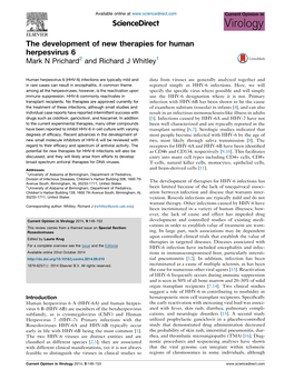 The Development of New Therapies for Human Herpesvirus 6