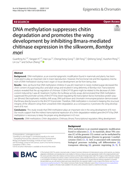DNA Methylation Suppresses Chitin Degradation and Promotes the Wing