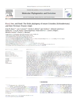 Echinodermata) and Their Permian-Triassic Origin