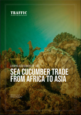 Sea Cucumber Trade from Africa to Asia