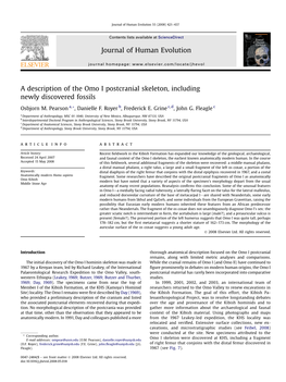 A Description of the Omo I Postcranial Skeleton, Including Newly Discovered Fossils