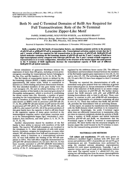 And C-Terminal Domains of Relb Are Required for Full Transactivation