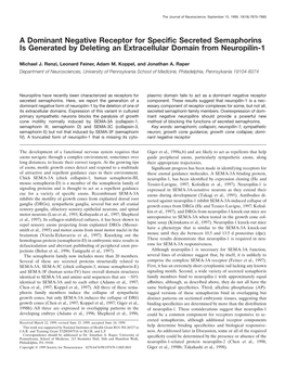 A Dominant Negative Receptor for Specific