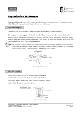 Reproduction in Humans