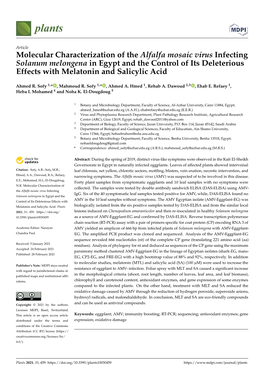 Molecular Characterization of the Alfalfa Mosaic Virus Infecting