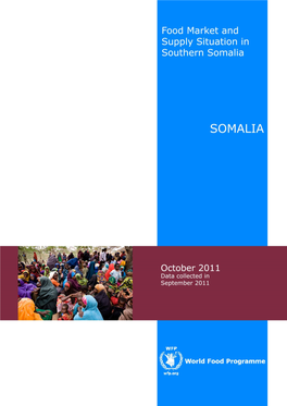 Food Market and Supply Situation in Southern Somalia