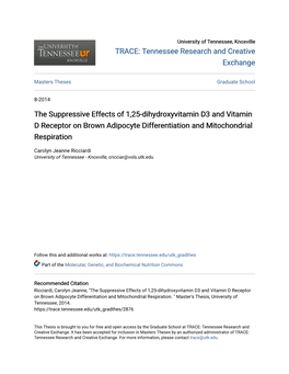 The Suppressive Effects of 1,25-Dihydroxyvitamin D3 and Vitamin D Receptor on Brown Adipocyte Differentiation and Mitochondrial Respiration
