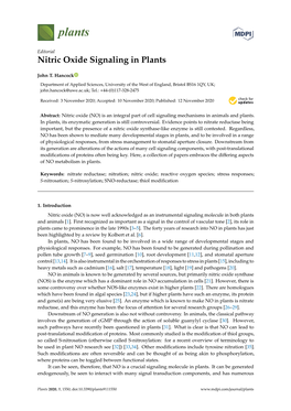 Nitric Oxide Signaling in Plants