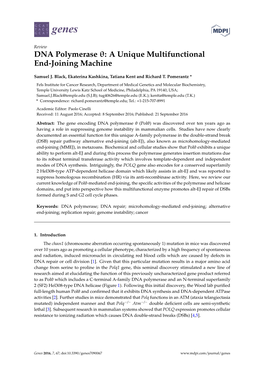 DNA Polymerase : a Unique Multifunctional End-Joining Machine