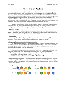 About Synteny Analysis