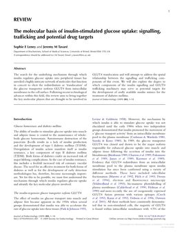 REVIEW the Molecular Basis of Insulin