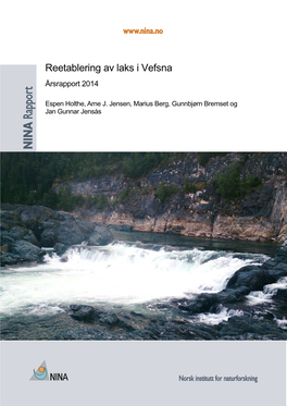 Reetablering Av Laks I Vefsna 1128 Årsrapport 2014