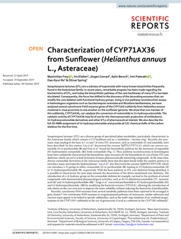 Characterization of CYP71AX36 from Sunflower (Helianthus Annuus L., Asteraceae)