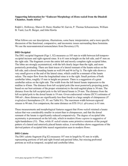 Supporting Information for “Endocast Morphology of Homo Naledi from the Dinaledi Chamber, South Africa” Ralph L. Holloway, S