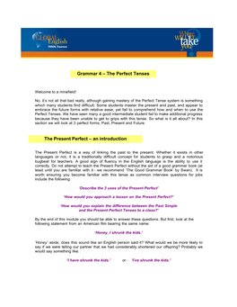 Grammar 4 – the Perfect Tenses the Present Perfect – an Introduction